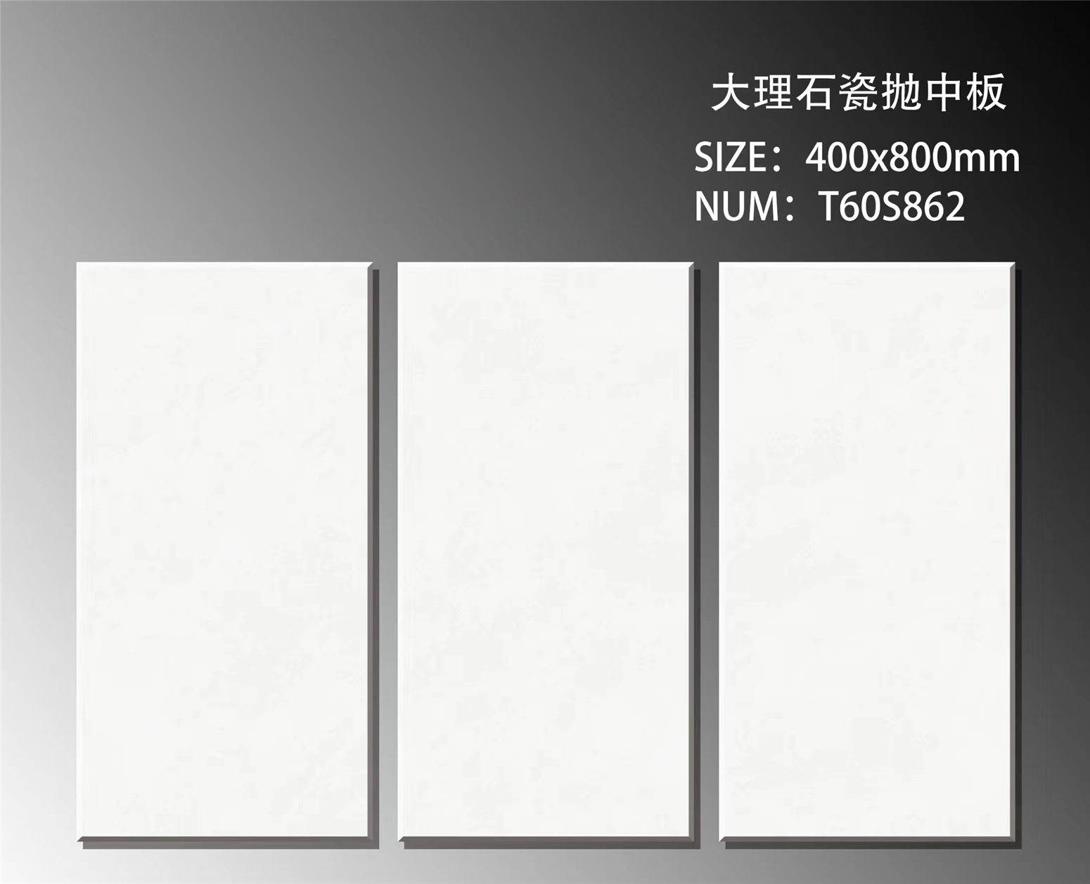 T60S862